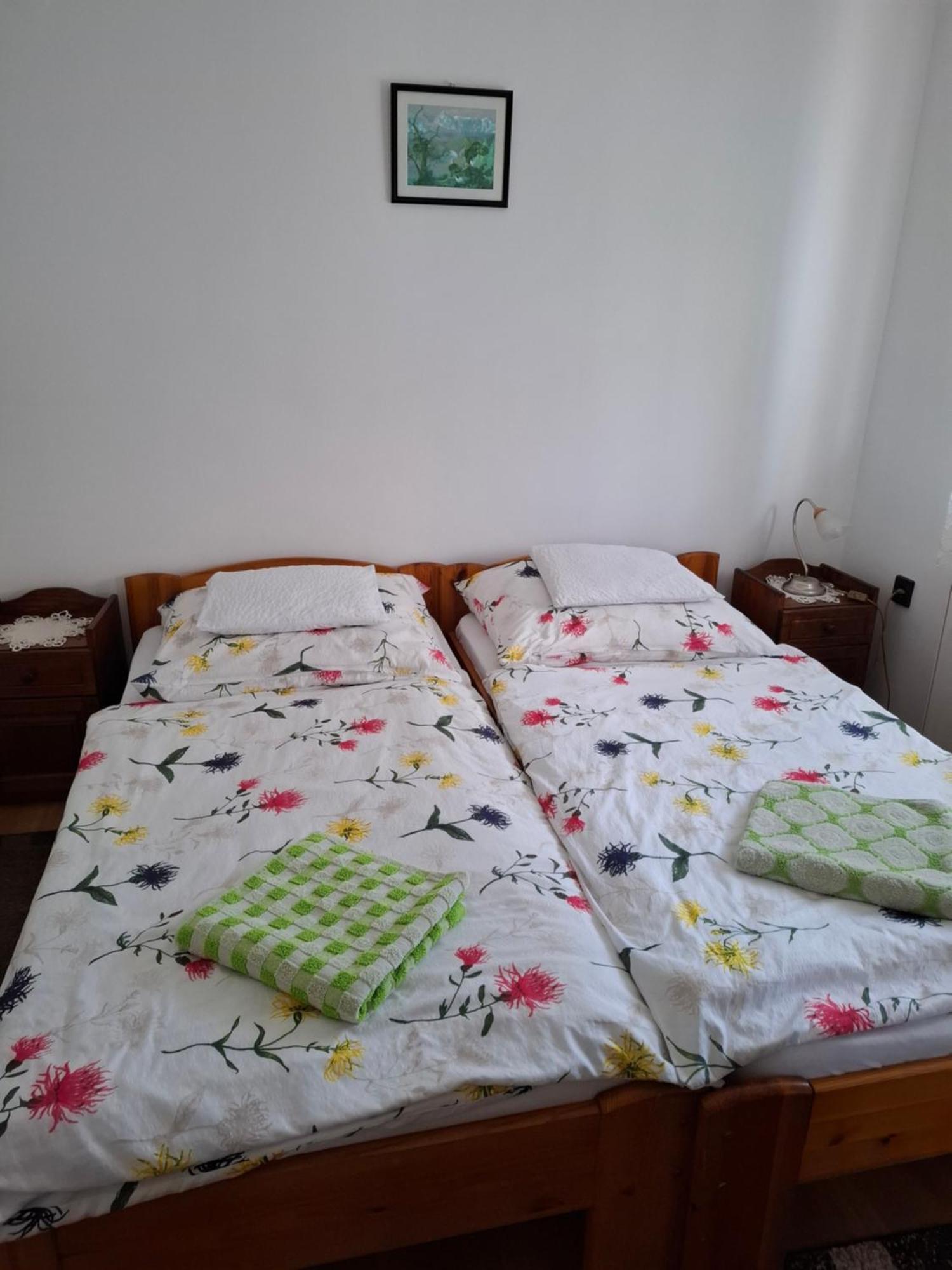 HegykőMarti Vendeghaz别墅 外观 照片