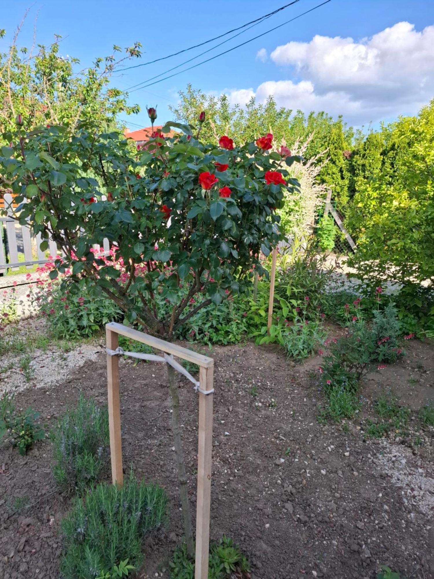 HegykőMarti Vendeghaz别墅 外观 照片